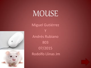 MOUSE
Miguel Gutiérrez
Y
Andrés Rubiano
803
07/2015
Rodolfo Llinas Jm
 