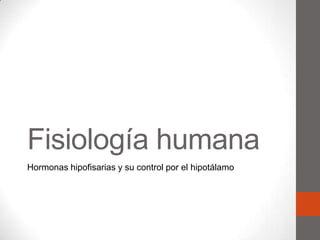 Fisiología humana
Hormonas hipofisarias y su control por el hipotálamo

 