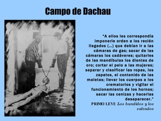 Campo de Dachau “ A ellos les correspondía imponerle orden a los recién llegados (…) que debían ir a las cámaras de gas; sacar de las cámaras los cadáveres; quitarles de las mandíbulas los dientes de oro; cortar el pelo a las mujeres; separar y clasificar las ropas, los zapatos, el contenido de las maletas; llevar los cuerpos a los crematorios y vigilar el funcionamiento de los hornos; sacar las cenizas y hacerlas desaparecer.” PRIMO LEVI:  Los hundidos y los salvados 