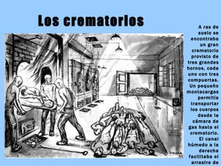 Los crematorios A ras de suelo se encontraba un gran crematorio provisto de tres grandes hornos, cada uno con tres compuertas. Un pequeño montacargas permitía transportar los cuerpos desde la cámara de gas hasta el crematorio.  El canal húmedo a la derecha facilitaba el arrastre de los cuerpos a los hornos. 