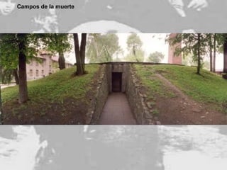 Campos de la muerte 