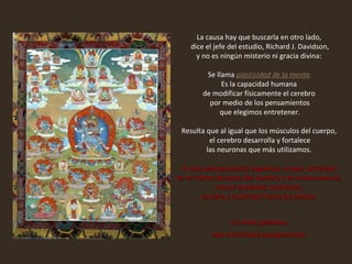 La causa hay que buscarla en otro lado,  dice el jefe del estudio, Richard J. Davidson, y no es ningún misterio ni gracia divina:    Se llama  plasticidad de la mente . Es la capacidad humana  de modificar físicamente el cerebro  por medio de los pensamientos que elegimos entretener.    Resulta que al igual que los músculos del cuerpo,  el cerebro desarrolla y fortalece las neuronas que más utilizamos.    A más pensamientos negativos, mayor actividad  en el córtex derecho del cerebro y en consecuencia,  mayor ansiedad, depresión,  envidia y hostilidad hacia los demás.    En otras palabras: más infelicidad autogenerada.  