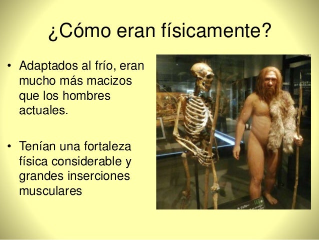 el-hombre-de-neandertal-4-638.jpg