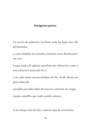 Imágenes puras. 
Un viento de pulmones incoloros asola las hojas más allá 
del horizonte 
y como brújulas sin remedio, transitan entre desolaciones 
sin casa. 
Largas tardes de iglesias marchitas me sobreviven como a 
una existencia arrancada de sí, 
y en cada rostro oscureciéndose sin fin, desde dentro un 
grito sobresale, 
excedido por todos lados de narcisos cubiertos de sangre, 
espejos amarillos que nadie puede sostener. 
A un sol que está de luto, conservo ojos de exterminio, 
28 
 