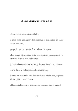 A una María, un lento árbol. 
Como cerezos encinta te saludo, 
a cada rama que recorre tus manos, a ti que cruzas las llagas 
de un mes frío, 
pequeño retrato rosado, florero lleno de agujas 
¿has estado bien en una gota, gota sin piel, madurando en el 
silencio como el aire en las uvas 
y naciendo con cálidos brazos, y desmembrando el corazón? 
Huye de ti, tú y el amor con botas amargas, 
y eres una vendimia que cae en vasijas miserables, órganos 
de un pájaro carnavalesco. 
¿Hay en tu boca de tristes sonidos, una, una sola novedad? 
62 
 