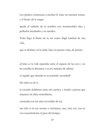 Los pétalos comienzan a incubar la vejez en nuestras camas, 
y el hierro de la sangre 
queda al cuidado de tu nombre con innumerables alas, y 
polluelos incubados y no nacidos. 
Todo llega al límite de tu ser como frágil lentitud de una 
vela, 
que se deshace en la tarde, bajo un puente viejo, de pronto. 
¿Cómo es la vida repartida entre el espacio de las aves y en 
las estrellas la distancia y en los trámites de oficina 
el orgullo que abunda en tu redonda oscuridad? 
Sin saber ya de ti, 
te escucho hablarme entre mis sueños, y tiendo a pensar que 
amanece mi alma entreabierta, 
coronada con tus uñas revestidas de sal, 
tan sólo si tú me tocaras e insistieras, una, otra vez, con tu 
voz susurrándome el paso del tiempo, 
63 
 