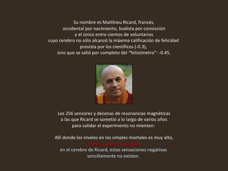 Navegación de entradas