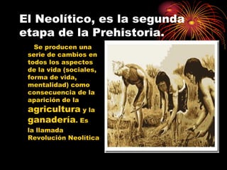 El Neolítico, es la segunda
etapa de la Prehistoria.
   Se producen una
 serie de cambios en
 todos los aspectos
 de la vida (sociales,
 forma de vida,
 mentalidad) como
 consecuencia de la
 aparición de la
 agricultura y la
 ganadería. Es
 la llamada
 Revolución Neolítica
 