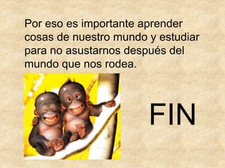 Por eso es importante aprender
cosas de nuestro mundo y estudiar
para no asustarnos después del
mundo que nos rodea.




                       FIN
 