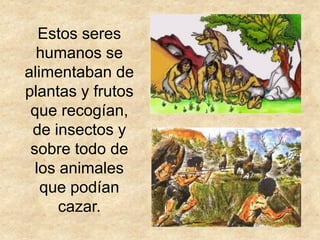 Estos seres
  humanos se
alimentaban de
plantas y frutos
 que recogían,
 de insectos y
 sobre todo de
  los animales
   que podían
      cazar.
 