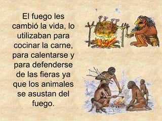 El fuego les
cambió la vida, lo
 utilizaban para
cocinar la carne,
para calentarse y
para defenderse
 de las fieras ya
que los animales
 se asustan del
       fuego.
 