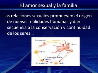 El amor sexual y la familia
Las relaciones sexuales promueven el origen
de nuevas realidades humanas y dan
secuencia a la conservación y continuidad
de los seres…
 