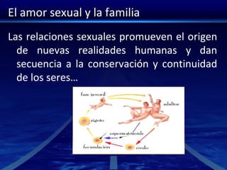 El amor sexual y la familia
Las relaciones sexuales promueven el origen
de nuevas realidades humanas y dan
secuencia a la conservación y continuidad
de los seres…
 