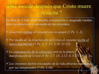 Qué sucede después que Cristo muere
y resucita ?
La obra de Cristo en su muerte, resurrección y «segunda venida»
tiene incidencia en la salvación de los creyentes:
 Jesucristo redime al creyente con su sangre (1 Pe. 1, 2).

 Por medio de la resurrección de Cristo el creyente recibe el
nuevo nacimiento (1 Pe. 1, 3. 21; 3,18. 21-22).
 La consumación de la salvación será en la futura
manifestación de Cristo (1 Pe. 1,7. 13; 2,12; 4, 5. 17-18; 5, 1).
 Los creyentes fueron rescatados de la vida absurda transmitida
por sus antepasados (1 Pe. 1,18)

 