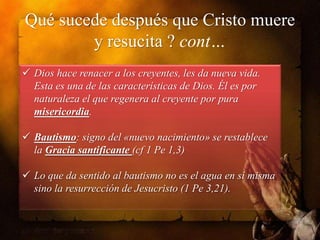 Qué sucede después que Cristo muere
y resucita ? cont…
 Dios hace renacer a los creyentes, les da nueva vida.
Esta es una de las características de Dios. Él es por
naturaleza el que regenera al creyente por pura
misericordia.

 Bautismo: signo del «nuevo nacimiento» se restablece
la Gracia santificante (cf 1 Pe 1,3)
 Lo que da sentido al bautismo no es el agua en sí misma
sino la resurrección de Jesucristo (1 Pe 3,21).

 