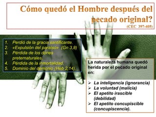 1. Perdió de la gracia santificante.
2. «Expulsión del paraíso» (Gn 3,8)
3. Pérdida de los dones
preternaturales.
4. Pérdida de la inmortalidad.
5. Dominio del demonio (Heb 2,14).

La naturaleza humana quedó
herida por el pecado original
en:
 La inteligencia (ignorancia)
 La voluntad (malicia)
 El apetito irascible
(debilidad)
 El apetito concupiscible
(concupiscencia).

 