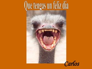 Que tengas un feliz día Carlos 