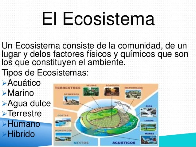 El hombre y el ecosistema