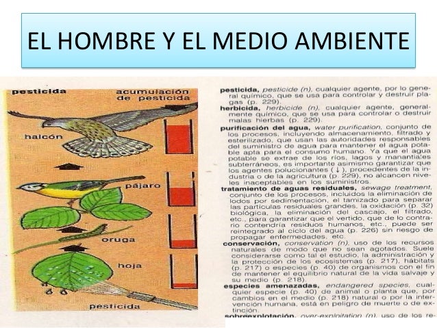 El protopico a atopicheskom la dermatitis
