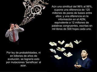 Aún una similitud del 96% al 98%,
                                  supone una diferencia de 120
                                millones de pares de bases entre
                                   ellos; y una diferencia en la
                                       información en el ADN,
                                  equivalente a 12 millones de
                                palabras congruentes, escritas en
                                mil libros de 500 hojas cada uno.




Por ley de probabilidades, ni
   en billones de años de
 evolución, se lograría esto
por mutaciones ‘benéficas’ al
            azar.
 