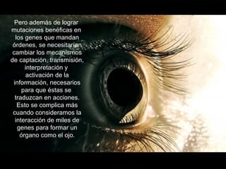 Pero además de lograr
mutaciones benéficas en
  los genes que mandan
 órdenes, se necesitarían
 cambiar los mecanismos
de captación, transmisión,
      interpretación y
      activación de la
 información, necesarios
     para que éstas se
  traduzcan en acciones.
   Esto se complica más
 cuando consideramos la
  interacción de miles de
   genes para formar un
    órgano como el ojo.
 