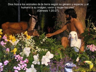 Dios hizo a los animales de la tierra según su género y especie; y al
           humano a su imagen; varón y mujer los creó”
                        (Génesis 1:20-27).
 