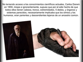 No teniendo acceso a los conocimientos científicos actuales, Carlos Darwin
  en 1859, miope e ignorantemente, supuso que por el sólo hecho de que
   todos ellos tienen cabeza, tronco, extremidades, 5 dedos, y órganos y
     sistemas parecidos, necesariamente implicaba que los simios y los
 humanos, eran parientes y descendientes lejanos de un ancestro común.
 