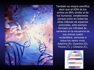 También es miopía científica
    decir que el ADN de los
 simios es 98% similar al de
 los humanos, simplemente
  porque como en todas las
  otras millones de especies
   conocidas, está siempre
   formado por infinidad de
variantes en la secuencia de
       sus únicos cuatro
    nucleótidos, comunes a
     todos los seres vivos:
  Adenina (A), Guanina (G),
  Timina (T), y Citosina (C).
 