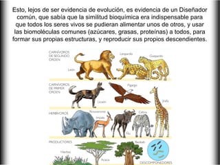 Esto, lejos de ser evidencia de evolución, es evidencia de un Diseñador
  común, que sabía que la similitud bioquímica era indispensable para
  que todos los seres vivos se pudieran alimentar unos de otros, y usar
 las biomoléculas comunes (azúcares, grasas, proteínas) a todos, para
formar sus propias estructuras, y reproducir sus propios descendientes.
 