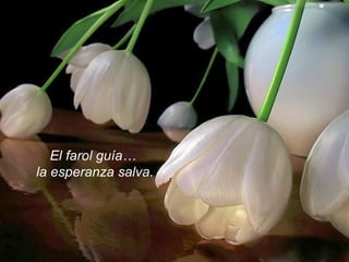 El farol guía…  la esperanza salva. 