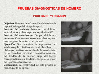 PRUEBAS DIAGNOSTICAS DE HOMBRO

                          PRUEBA DE YERGASON

Objetivo. Detectar la inflamación del tendón de
la porción larga del bíceps braquial.
Posición del paciente. Sentado, con el brazo
junto al tórax y el codo pronado y flexión 90°
Posición del examinador. De pie, del lado a
examinar. Con una mano sostiene el codo y con
la otra agarra la muñeca del paciente.
Ejecución. Son resistida la supinación del
antebrazo y la rotación externa del hombro.
Hallazgo positivo. Aumento de la sensibilidad
en la corredera bicipital o luxación ocasional
del tendón de la porción larga del bíceps
correspondientes a tendinitis bicipital o lesion
del ligamento transverso.
Comentario. La efectividad de esta prueba es
menor que la de speed.
 