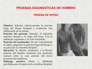 PRUEBAS DIAGNOSTICAS DE HOMBRO

                               PRUEBA DE SPEED



Objetivo. Solicitar selectivamente la porción
larga del bíceps braquial y evidenciar una
inflamación de la misma.
Posición del paciente. Sentado, el miembro
superior situado a lo largo del tórax. Con el
antebrazo supinador y el codo extendido.
Posición del examinador. De pie. Lateralmente
al sujeto, palpando la porción larga del bíceps a
su paso por la corredera bicipital.
Ejecución. Se efectúa resistencia a la flexión
anterior del hombro mediante una oposición
manual sobre la cara anterior del tercio
proximal del antebrazo.
Hallazgo positivo. Dolor y debilidad
percibidos por el sujeto en la corredora bicipital
 