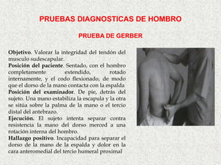 PRUEBAS DIAGNOSTICAS DE HOMBRO

                             PRUEBA DE GERBER

Objetivo. Valorar la integridad del tendón del
musculo sudescapular.
Posición del paciente. Sentado, con el hombro
completamente          extendido,         rotado
internamente, y el codo flexionado, de modo
que el dorso de la mano contacta con la espalda
Posición del examinador. De pie, detrás del
sujeto. Una mano estabiliza la escapula y la otra
se sitúa sobre la palma de la mano o el tercio
distal del antebrazo.
Ejecución. El sujeto intenta separar contra
resistencia la mano del dorso merced a una
rotación interna del hombro.
Hallazgo positivo. Incapacidad para separar el
dorso de la mano de la espalda y dolor en la
cara anteromedial del tercio humeral proximal
 