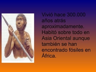 Vivió hace 300.000 años atrás aproximadamente. Habitó sobre todo en Asia Oriental aunque también se han encontrado fósiles en África.