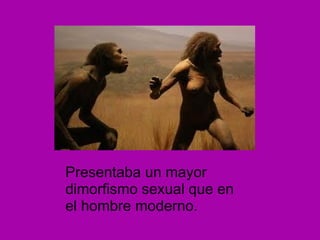 Presentaba un mayor dimorfismo sexual que en el hombre moderno.