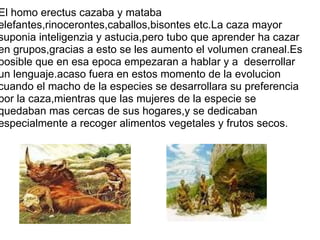 El homo erectus cazaba y mataba elefantes,rinocerontes,caballos,bisontes etc.La caza mayor suponia inteligenzia y astucia,pero tubo que aprender ha cazar en grupos,gracias a esto se les aumento el volumen craneal.Es posible que en esa epoca empezaran a hablar y a  deserrollar un lenguaje.acaso fuera en estos momento de la evolucion cuando el macho de la especies se desarrollara su preferencia por la caza,mientras que las mujeres de la especie se quedaban mas cercas de sus hogares,y se dedicaban especialmente a recoger alimentos vegetales y frutos secos. 