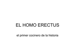 EL HOMO ERECTUS el primer cocinero de la historia 