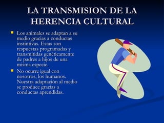 LA TRANSMISION DE LA HERENCIA CULTURAL Los animales se adaptan a su medio gracias a conductas instintivas. Estas son respuestas programadas y transmitidas genéticamente de padres a hijos de una misma especie. No ocurre igual con nosotros, los humanos. Nuestra adaptación al medio se produce gracias a conductas aprendidas. 