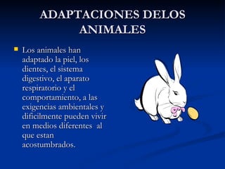 ADAPTACIONES DELOS ANIMALES Los animales han adaptado la piel, los dientes, el sistema digestivo, el aparato respiratorio y el comportamiento, a las exigencias ambientales y dificilmente pueden vivir en medios diferentes  al que estan acostumbrados. 