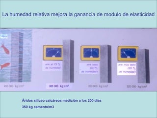 La humedad relativa mejora la ganancia de modulo de elasticidad

Áridos silíceo calcáreos medición a los 200 días
350 kg cemento/m3

 
