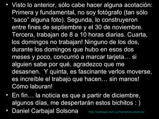 Visto lo anterior, sólo cabe hacer alguna acotación: Primera y fundamental, no soy fotógrafo (tan sólo “saco” alguna foto). Segunda, lo construyeron entre fines de septiembre y el 30 de noviembre. Tercera, trabajan de 8 a 10 horas diarias. Cuarta, los domingos no trabajan! Ninguno de los dos, durante los domingos que hubo en esos dos meses y poco, concurrió a marcar tarjeta… si alguien sabe por qué, agradezco que me desasnen.  Y quinta, es fascinante verlos moverse, es increíble el trabajo que hacen… sin manos! Cómo laburan! En fin… la noticia es que a partir de diciembre, algunos días, me despertarán estos bichitos : ) Daniel Carbajal Solsona  http:// carbajal.com.uy /horneros-urbanos/ 