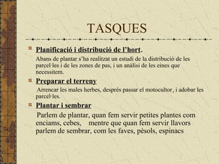 TASQUES
Planificació i distribució de l’hort.
Abans de plantar s’ha realitzat un estudi de la distribució de les
parcel·les i de les zones de pas, i un anàlisi de les eines que
necessitem.
Preparar el terreny
Arrencar les males herbes, després passar el motocultor, i adobar les
parcel·les.
Plantar i sembrar
Parlem de plantar, quan fem servir petites plantes com
enciams, cebes, mentre que quan fem servir llavors
parlem de sembrar, com les faves, pèsols, espinacs
 
