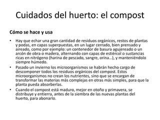 Cuidados del huerto: el compost
Cómo se hace y usa
• Hay que echar una gran cantidad de residuos orgánicos, restos de plantas
  y podas, en capas superpuestas, en un lugar cerrado, bien prensado y
  aireado, como por ejemplo: un contenedor de basura agujereado o un
  arcón de obra o madera, alternando con capas de estiércol o sustancias
  ricas en nitrógeno (harina de pescado, sangre, orina…), y manteniéndolo
  siempre húmedo.
• Pasado un invierno los microorganismos se habrán hecho cargo de
  descomponer todos los residuos orgánicos del compost. Estos
  microorganismos no crean los nutrientes, sino que se encargan de
  transformar las materias más complejas en otras más simples, para que la
  planta pueda absorberlas.
• Cuando el compost está maduro, mejor en otoño y primavera, se
  distribuye y entierra, antes de la siembra de las nuevas plantas del
  huerto, para abonarlo.
 