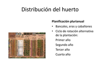 Distribución del huerto
            Planificación plurianual
            • Bancales, eras y caballones
            • Ciclo de rotación alternativa
               de la plantación:
               Primer año
               Segundo año
               Tercer año
               Cuarto año
 