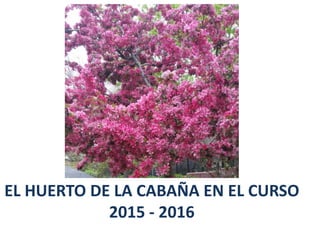 por Claudia
EL HUERTO DE LA CABAÑA EN EL CURSO
2015 - 2016
 