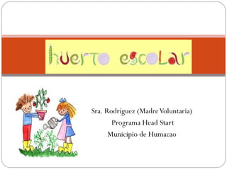 Sra. Rodríguez (MadreVoluntaria)
Programa Head Start
Municipio de Humacao
 
