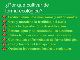 ¿Por qué cultivar de
forma ecológica?
Produce alimentos más sanos y nutricionales
Crea y mantiene la fertilidad del suelo
Frena la degradación y desertificación
Retiene agua y no contamina los acuíferos
Utiliza técnicas de cultivo más favorables
Controla las enfermedades de forma biológica
Crea y favorece el trabajo digno
Optimiza los recursos locales y regionales
 