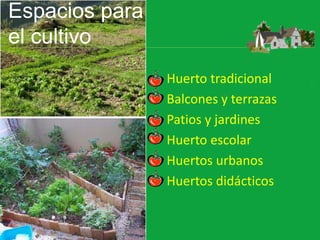 Espacios para
el cultivo
• Huerto tradicional
• Balcones y terrazas
• Patios y jardines
• Huerto escolar
• Huertos urbanos
• Huertos didácticos
 