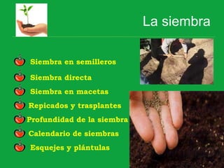 La siembra
Siembra en semilleros
Siembra directa
Siembra en macetas
Repicados y trasplantes
Profundidad de la siembra
Calendario de siembras
Esquejes y plántulas
 