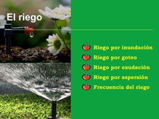 El riego
Riego por goteo
Riego por exudación
Riego por inundación
Riego por aspersión
Frecuencia del riego
 